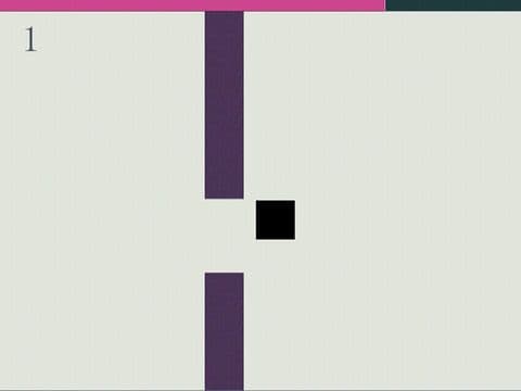 Impossible Fly