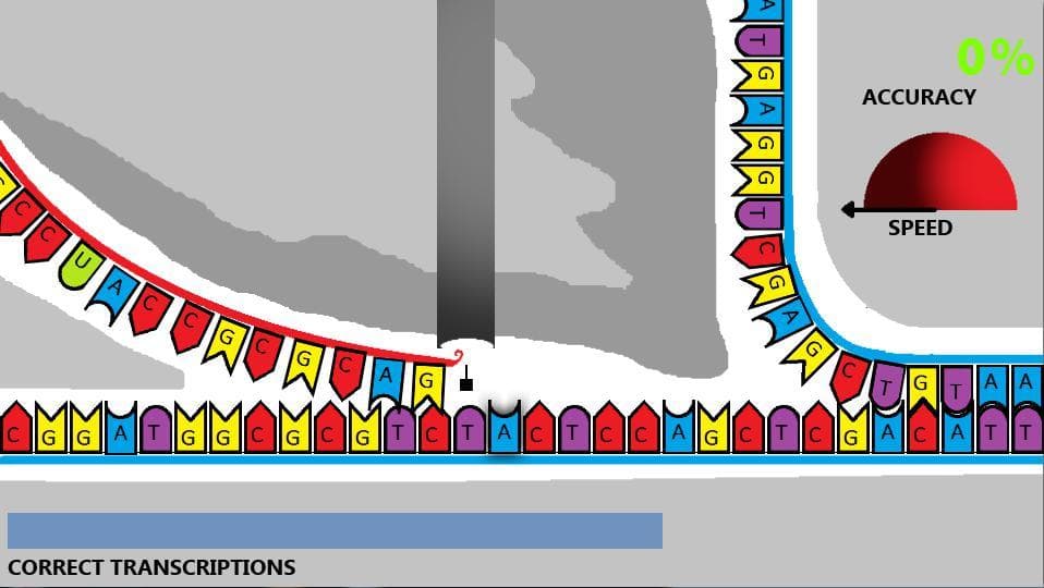 The mRNA Transcription Race screenshot 2