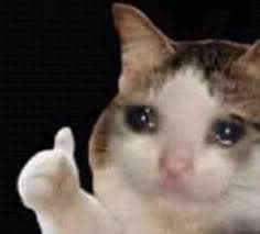 crying cat