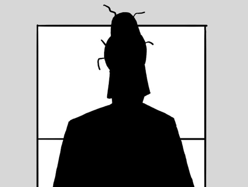Back to the Widows Web