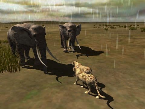 Africa Wild screenshot 4