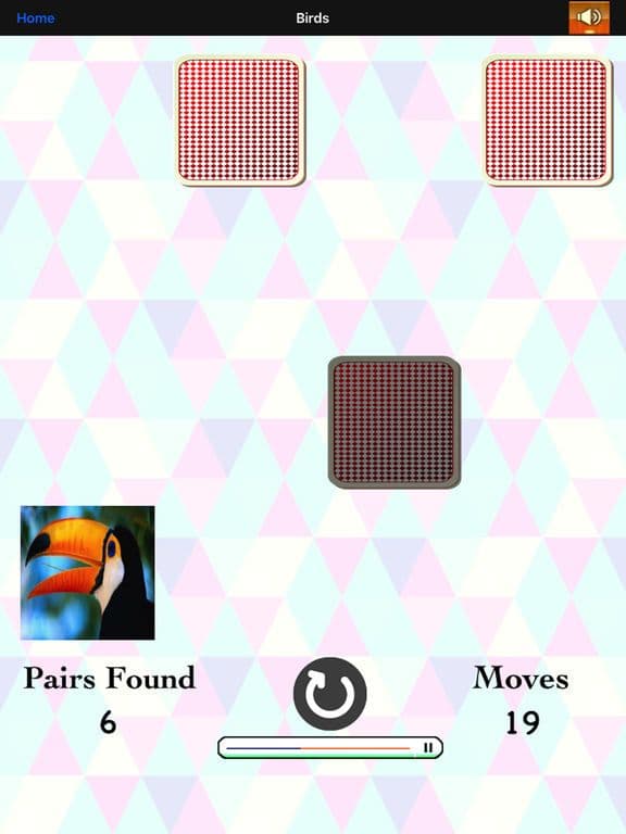 Match Card Pair: Premium! screenshot 4