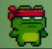Frog runner