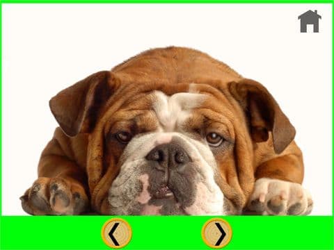nice dogs for kids - free