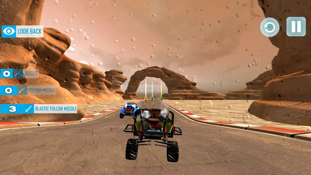 Karting with Animals screenshot 4