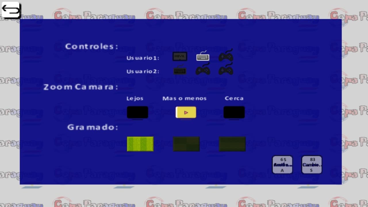 Copa Paraguay screenshot 3