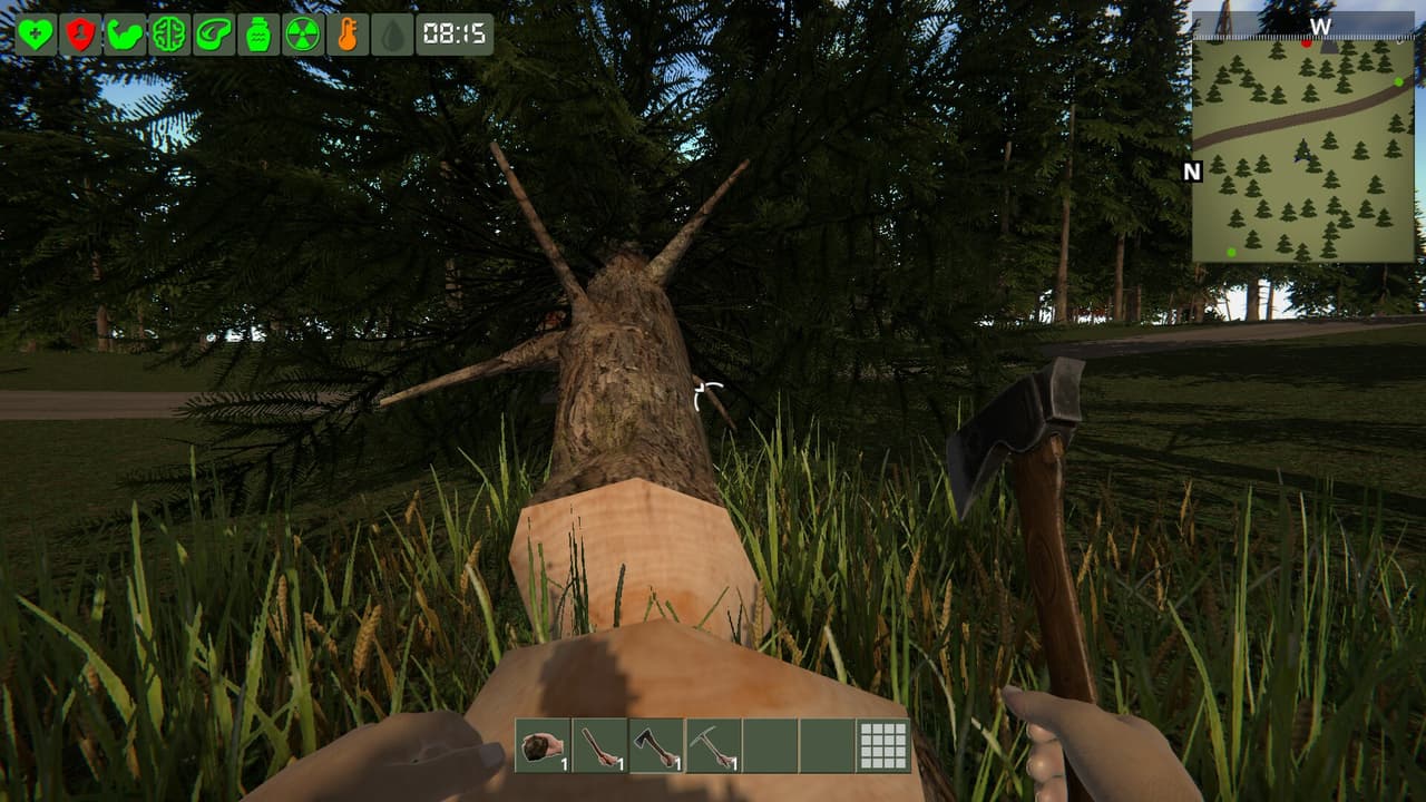 The Survivor screenshot 4