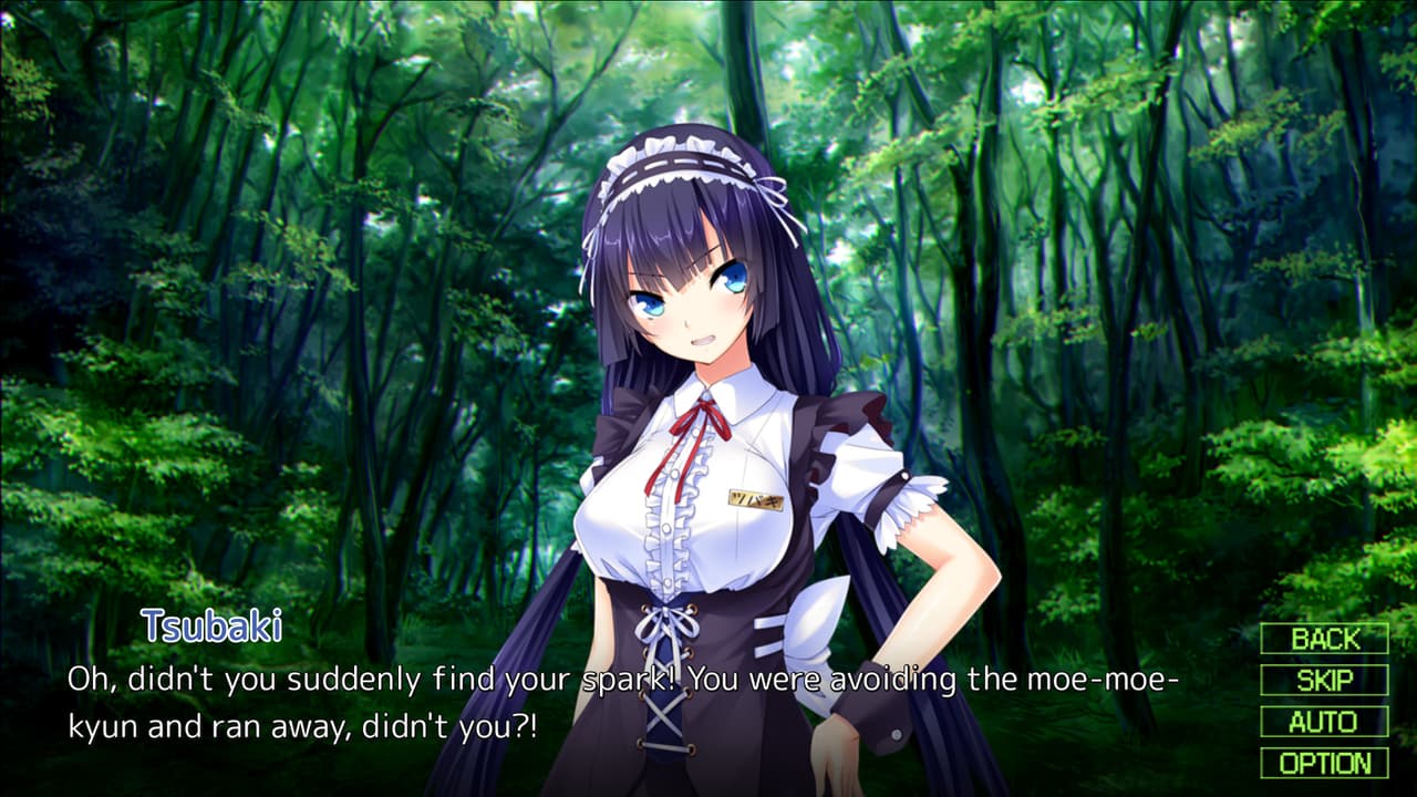 Wild Romance: Mofu Mofu Edition screenshot 3