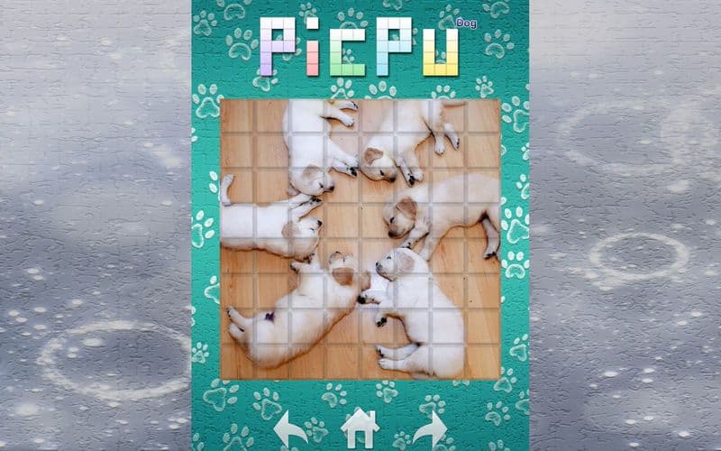 PicPu Dog Puzzle screenshot 3