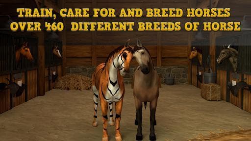 Horse Academy - Multiplayer Horse Racing Game! screenshot 5