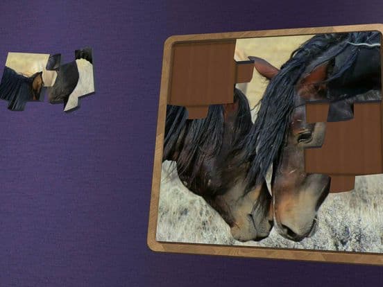 Super Jigsaws Horses screenshot 3