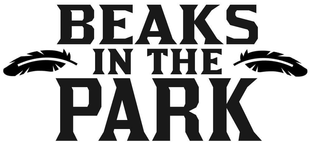 Beaks in the Park - One Page RPG screenshot 2
