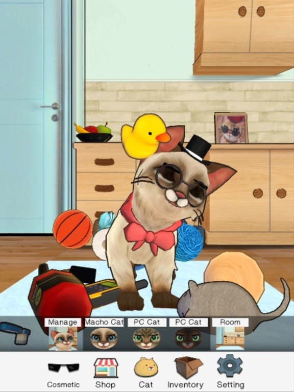 Macho Cat: Pet Cat Simulator screenshot 4