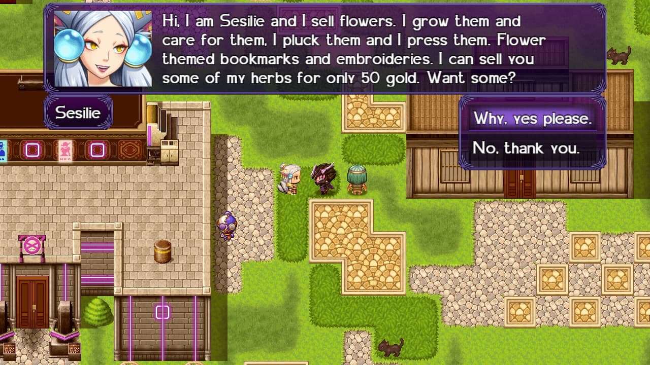The Black Knight Chronicles - The Widow without Time screenshot 3