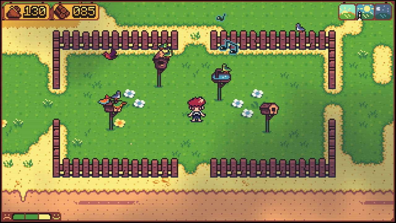 A Story About Birds screenshot 6