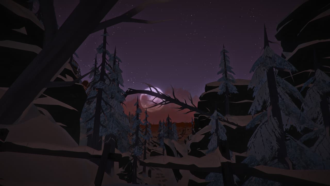 The Long Dark screenshot 2