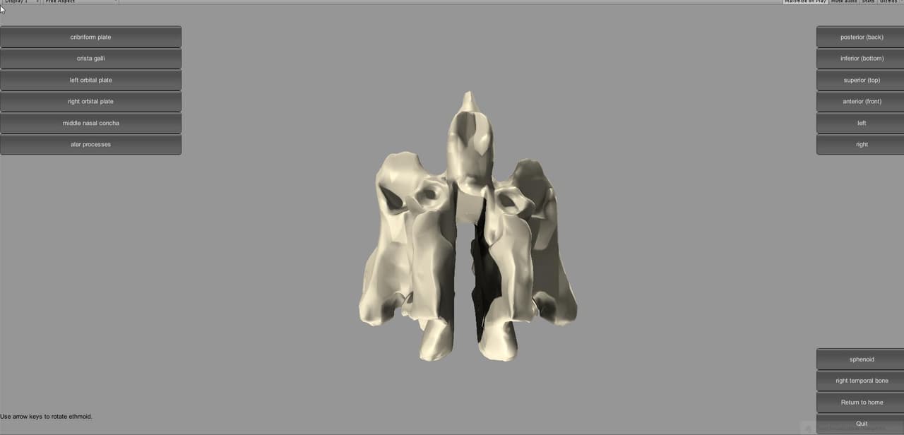 Bone Learning Tutorial screenshot 2