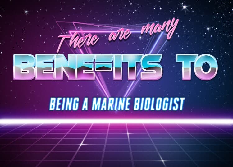 Seapunk