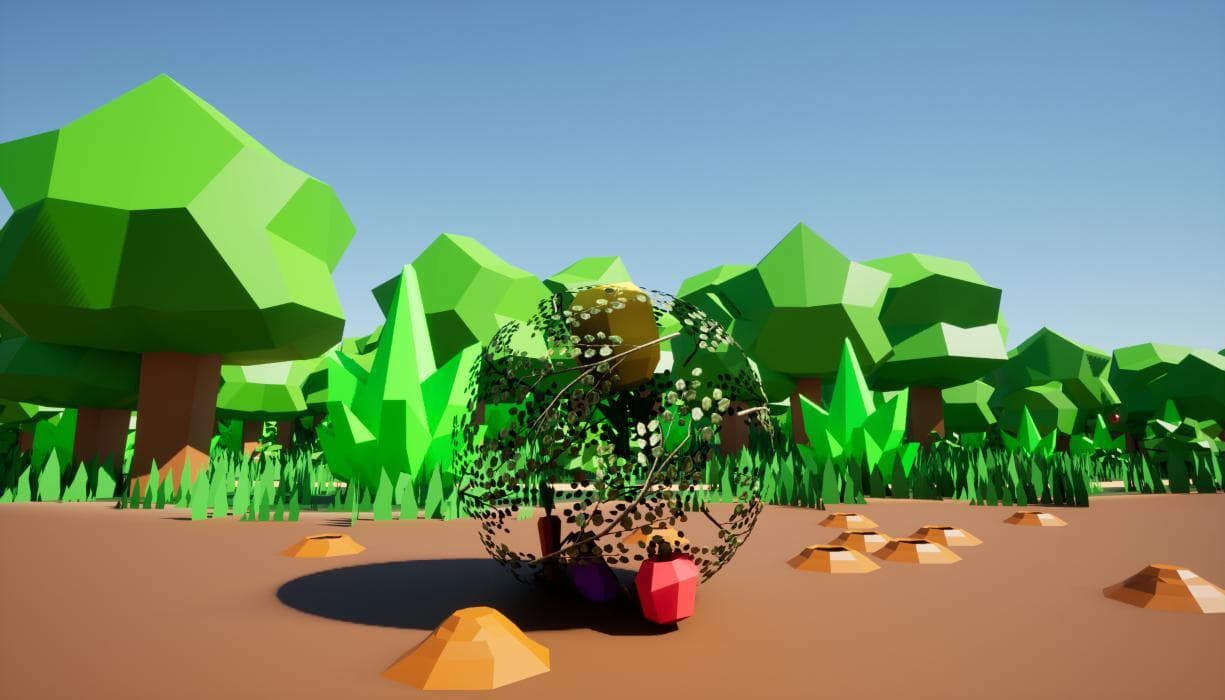 Rootball