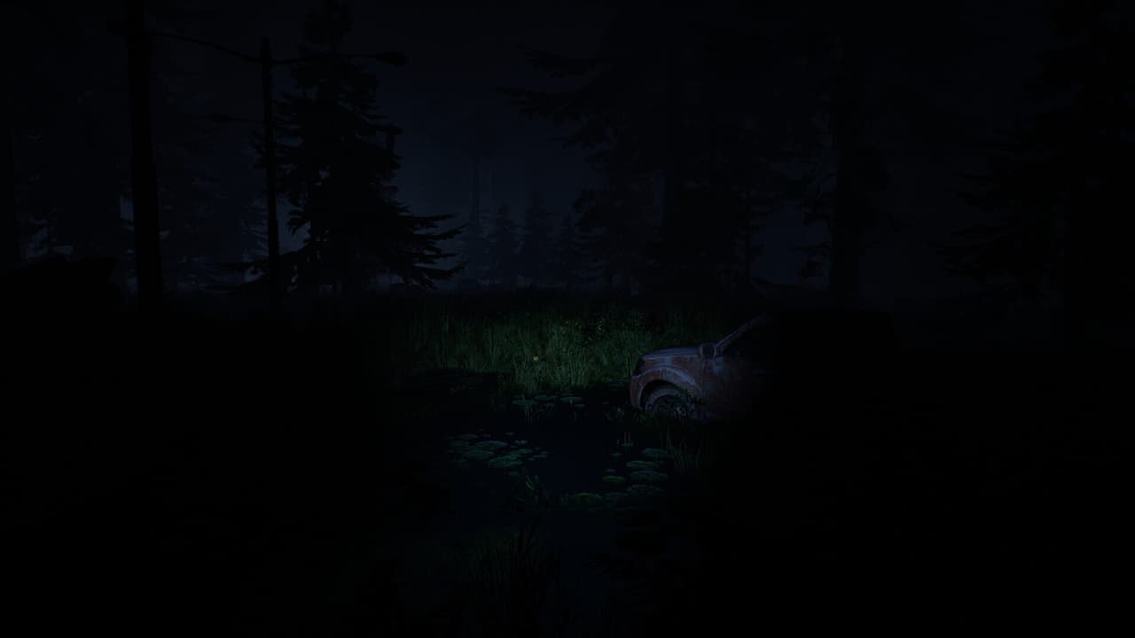 Desolation screenshot 6