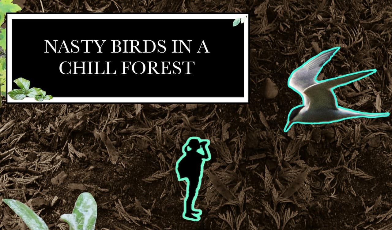 Nasty Birds in a Chill Forest screenshot 2