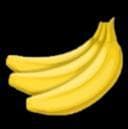 Crual Monkeys
