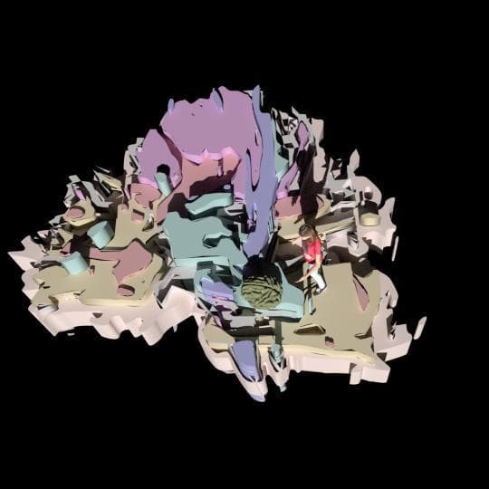 Eva and the Brain screenshot 2