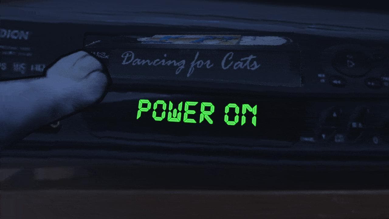 Dancing For Cats (jwhop) screenshot 3