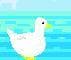 Duck must fly
