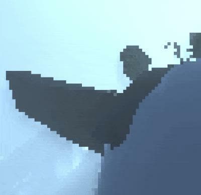 The Ice Lake