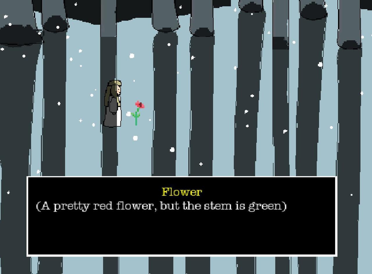 Into the Forest Research Final screenshot 2