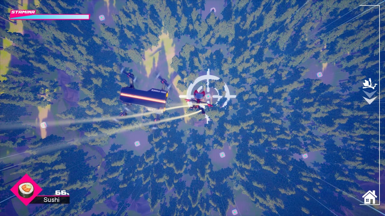DownToEarthSpaceCats screenshot 2