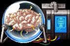 The Brains Game