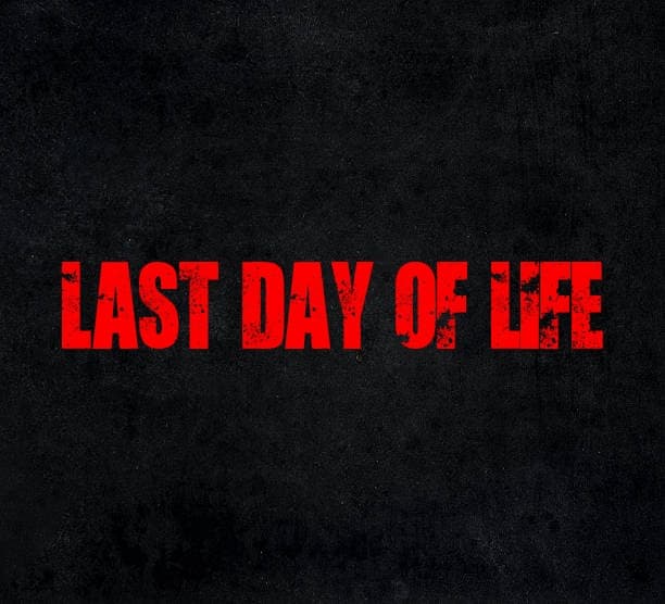 Last day of life screenshot 2
