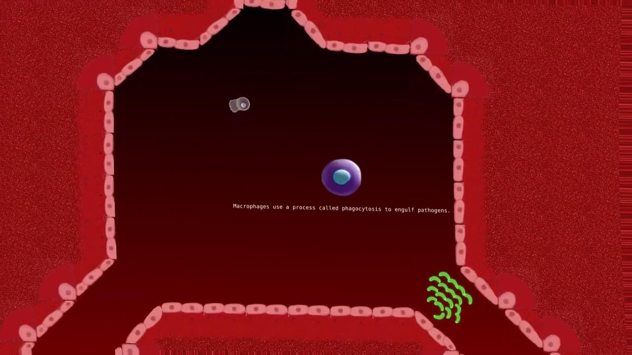 BLOOD TALES screenshot 4