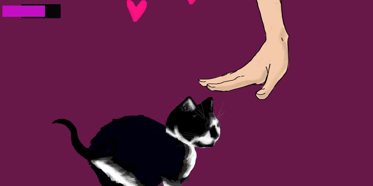 Bug Petter screenshot 2