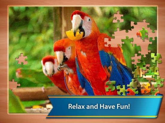 Jigsaw Puzzle Club