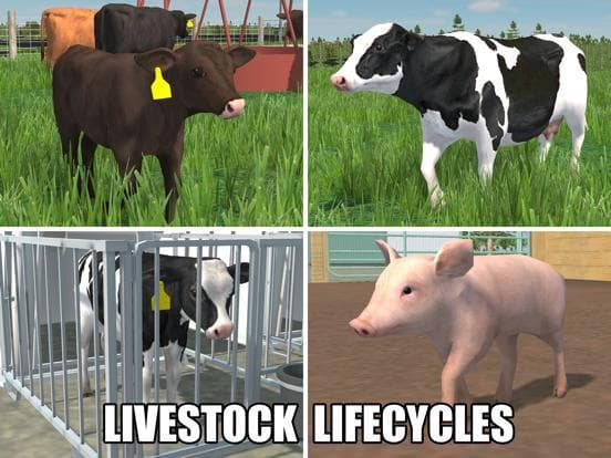 American Farming screenshot 4