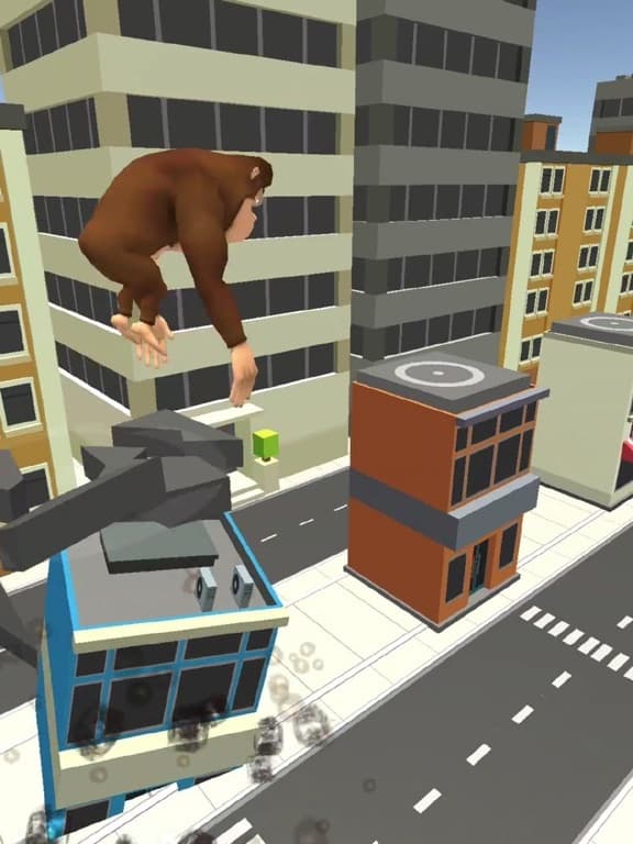 Fury Monkey