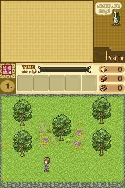 Shepherds Crossing 2 (DS) screenshot 3