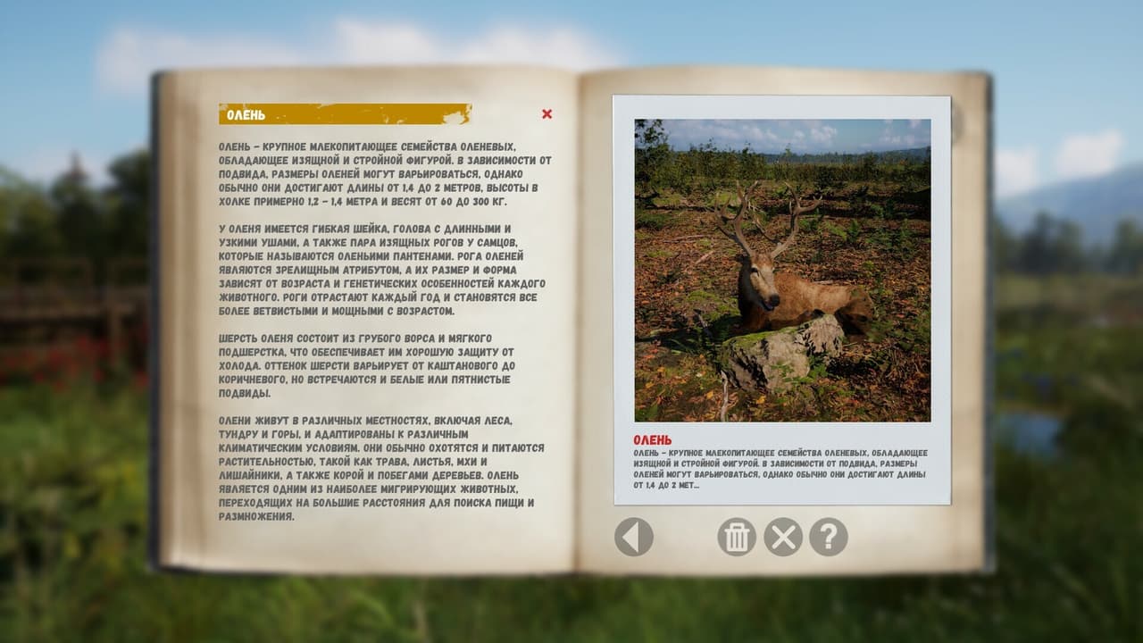 Russian Soul Simulator screenshot 4