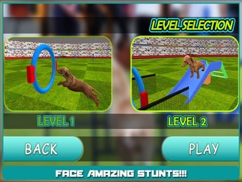 Dog Show Simulator 3D: Train puppies & perform amazing stunts screenshot 6