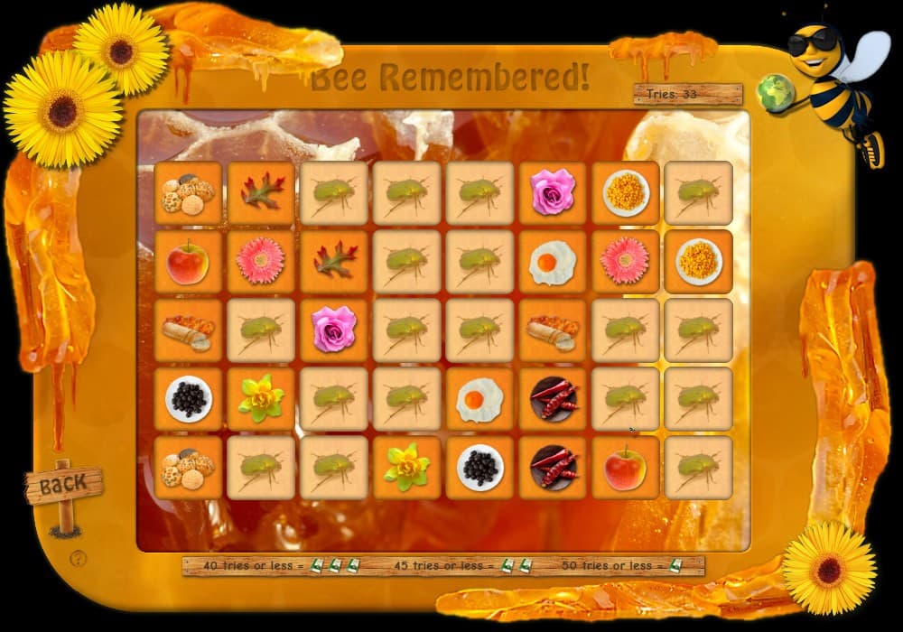 Bee Aware! screenshot 5