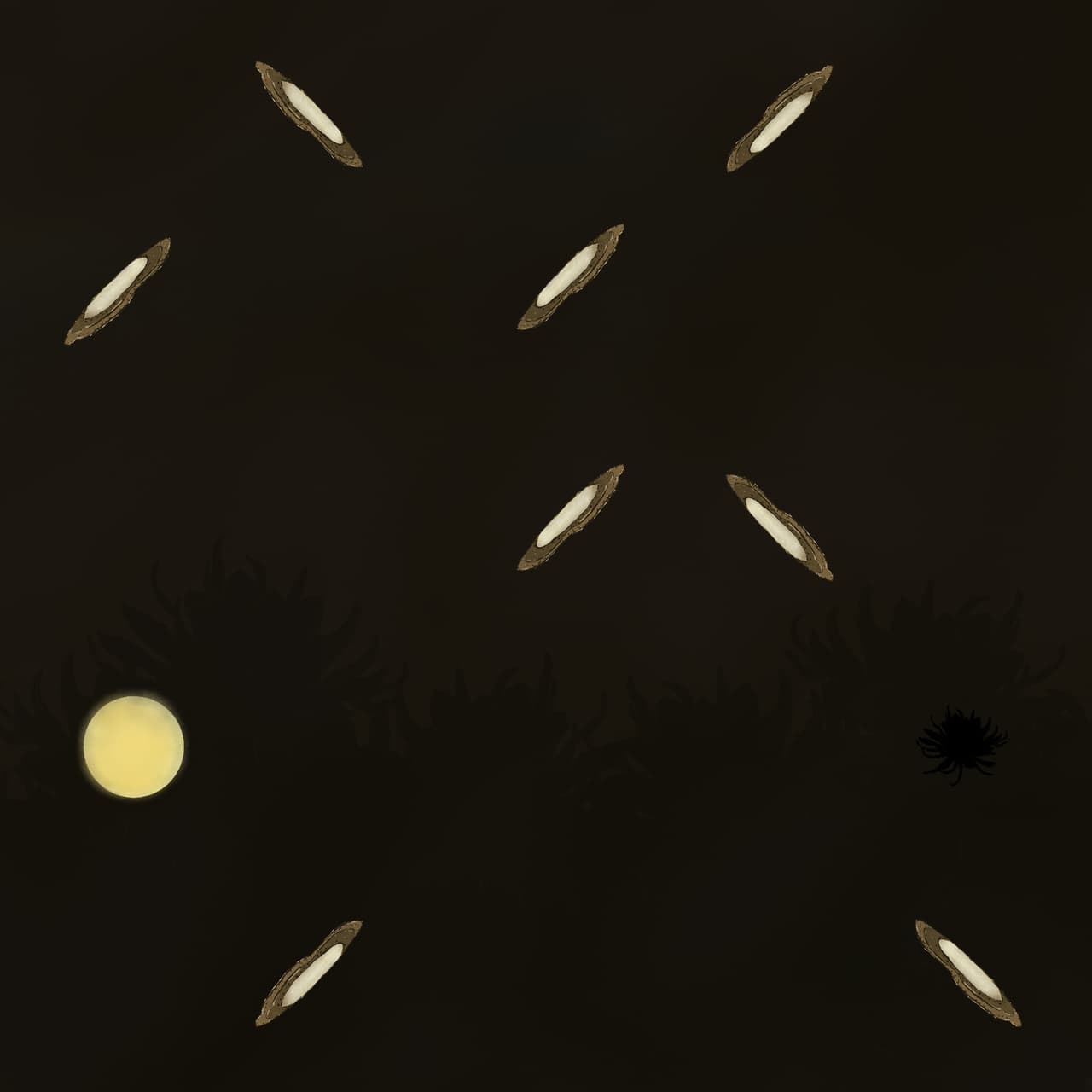 EPIPHYLLUM OXYPETALUM screenshot 2