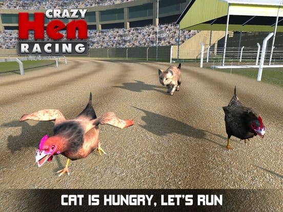 Hen Racing Simulator - Race Free Range Chickens screenshot 2