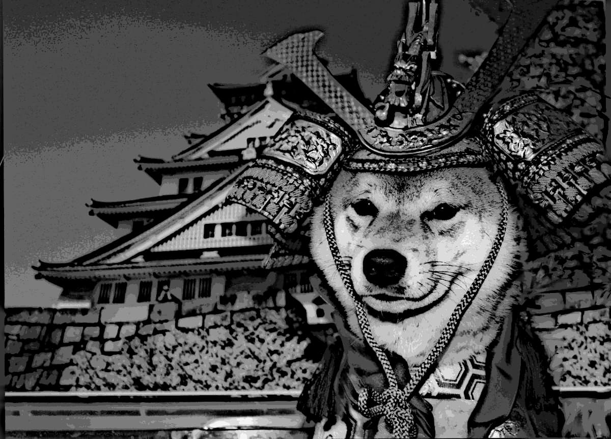Pig and King