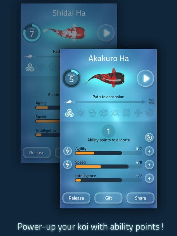 Zen Koi - A Tranquil Aquatic Journey