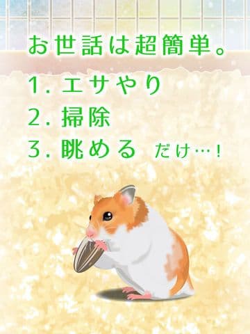 Hamster Game Free screenshot 3