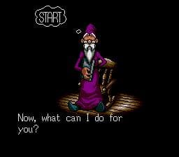 Shining in the Darkness (1991) screenshot 3