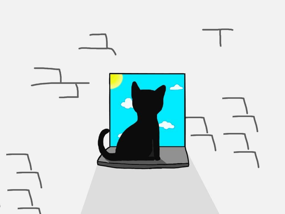 A Cats Adventure